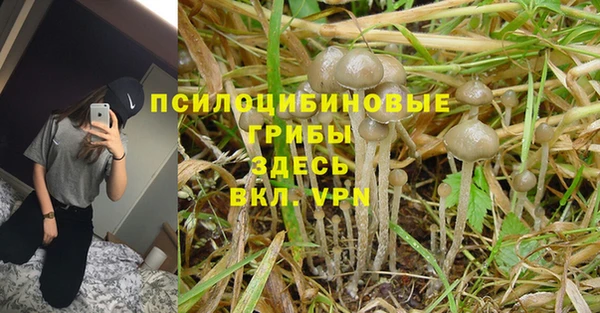 прущая мука Переславль-Залесский