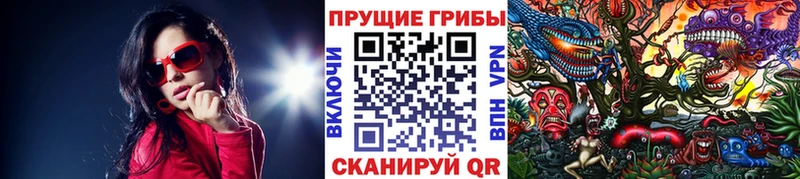 mega сайт  Североуральск  Галлюциногенные грибы Psilocybe 