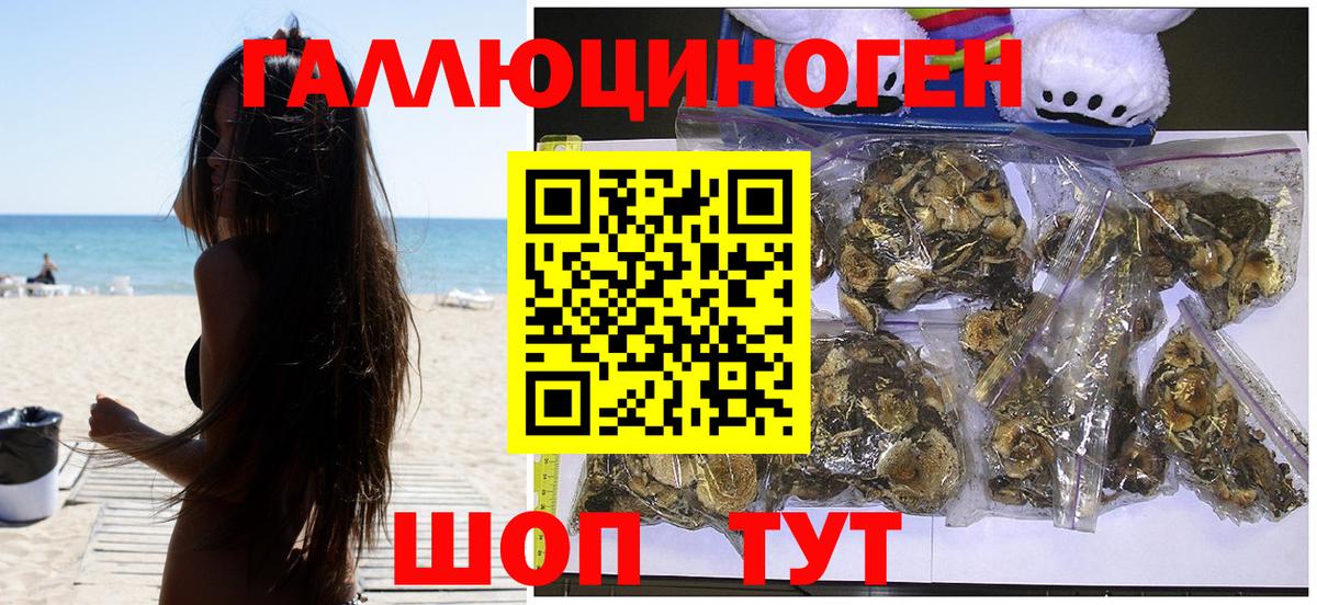 Североуральск  Псилоцибиновые грибы мухоморы  Вход с VPN 