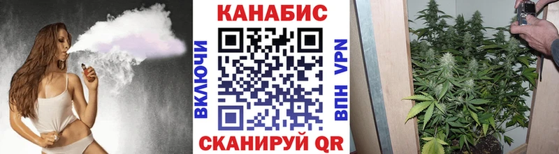 kraken ссылки  купить закладку  Североуральск  Бошки Шишки конопля 